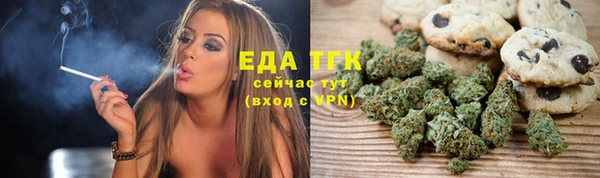 гашик Осташков