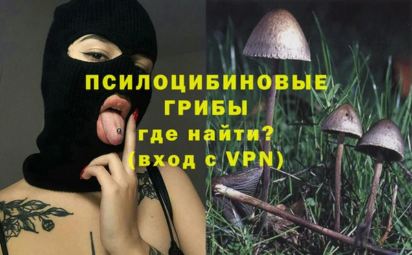 соль ск Остров